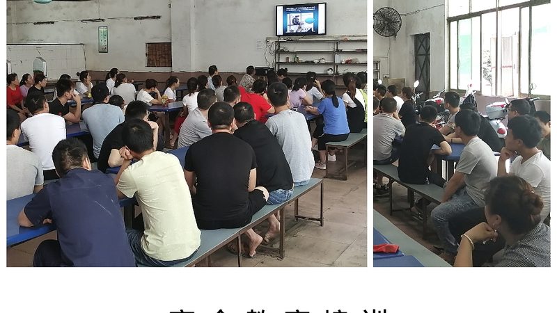 行业背景：编程教育兴起，教师培训需求激增